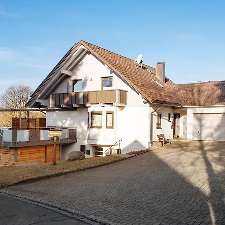 Steinhart Apartment