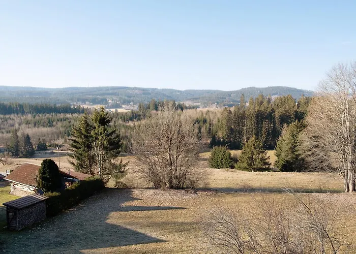 Steinhart * Lenzkirch